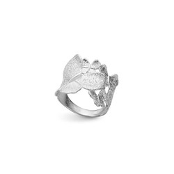 Anillo Plata Argent Basic ANRM065/10 Mariposas