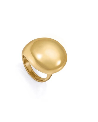 Anillo Viceroy Acero Dorado Mujer 14206A01212 Brillante