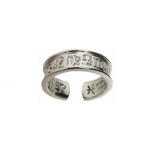 Anillo Xernus Plata NF1086 Signos Del Zodiaco