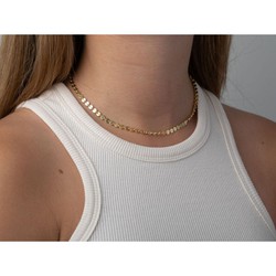 Golden Silver Chain 30+6cm CAD00072DO Ark