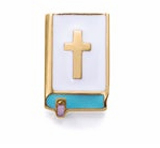 Charm Acero Dorado Viceroy 14264M01012 Biblia Esmaltada