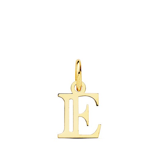 18kt gouden letter E hanger 16222-E