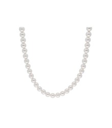 Collar Plata 6mm Liska LAF6420CL-6 Perlas