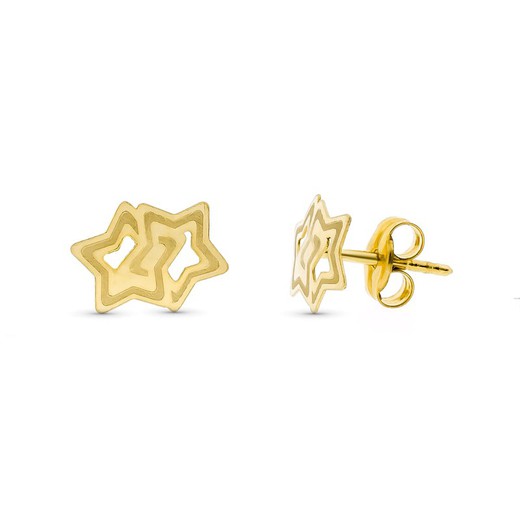 18kt Gold Laser Star Earrings 9X7mm 15313