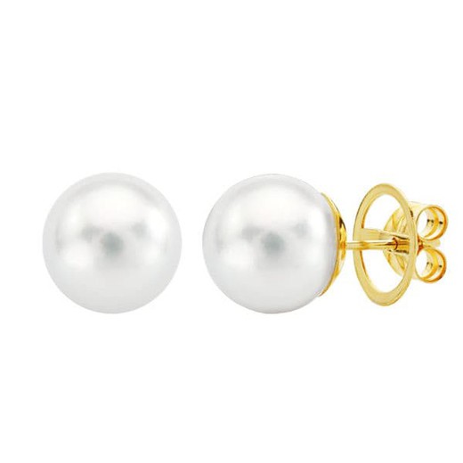 Boucles d'oreilles en or 18 carats perle australienne 10,5-11 mm 18690