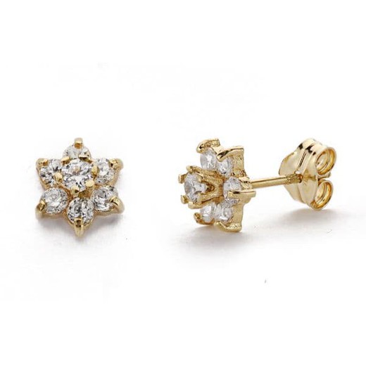 Boucles d'oreilles en or 9 carats 6x6 mm 9K18267 Zircone