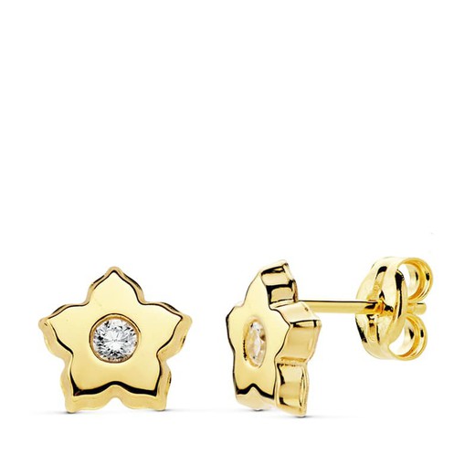 Two-tone 18kt Gold Star Earrings 13X6mm 18449