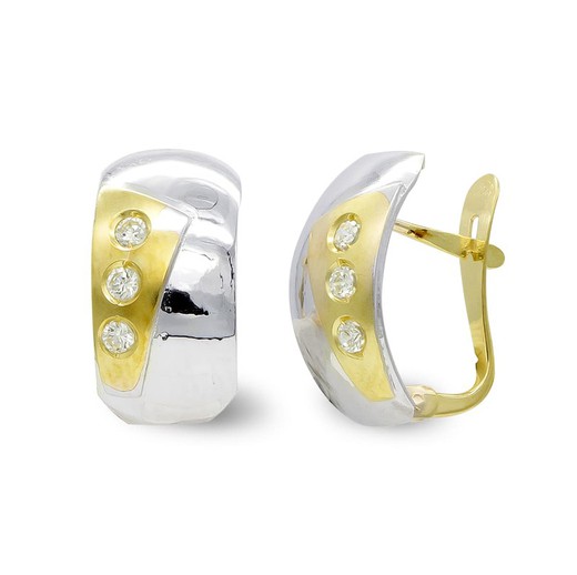 Matte 18kt Bicolor Gold Earrings 7081-1