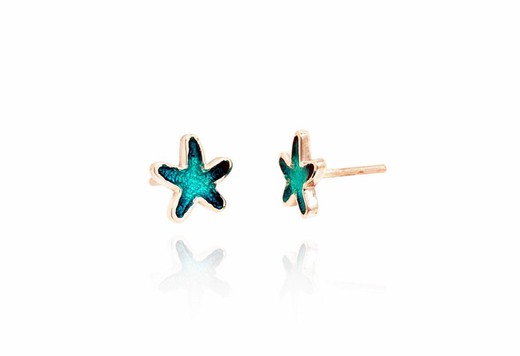 Pendientes Plata Arior 1141942EPP Estrella De Mar