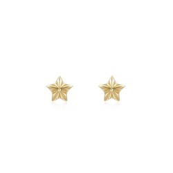 Arracades Plata Daurada 4x4mm PEL0925DOXXXX Estrella