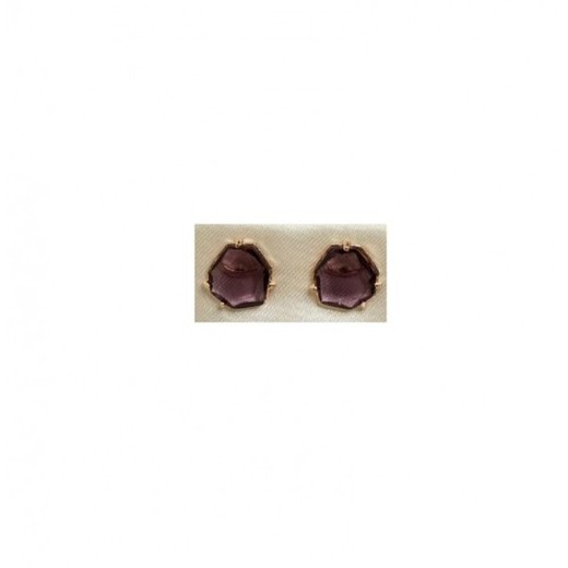 Pendientes Xernus Plata Dorada 3NF2811 Cristal Amatista