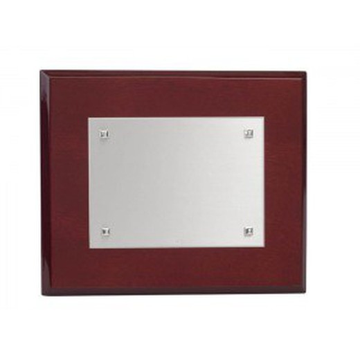 Placa Conmemorativa Alpaca Rectangular Lisa Clavos 316923