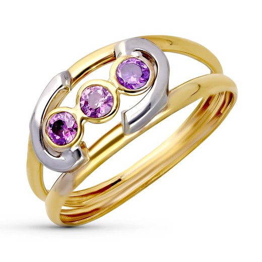 Bicolor-Silberring aus 9-karätigem Gold, 9K14991-AT, Amethyst-Zirkonia