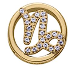 Viceroy 14271M01012C Capricorn Zirconia Gold Steel Beads