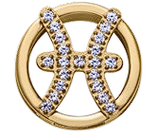 Viceroy Gold Steel Beads 14271M01012P Pisces Zirconia