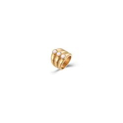 Anillo Acero Dorado Mujer AAM0015DONA10 Piedras Minerales Nacar