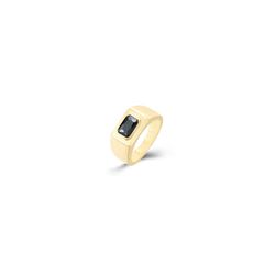 Anillo Acero Dorado Mujer AAM0023DOOX04 Piedra Mineral Onix Negro