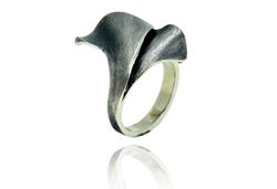 Anillo Plata Arior Farga 1182023PU