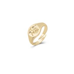 Anillo Plata Dorada Mujer ANZ0277DO Zodiaco Acuario Circonita