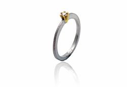 Anillo Plata Y Oro Arior Nil Con Diamante 3680939RU