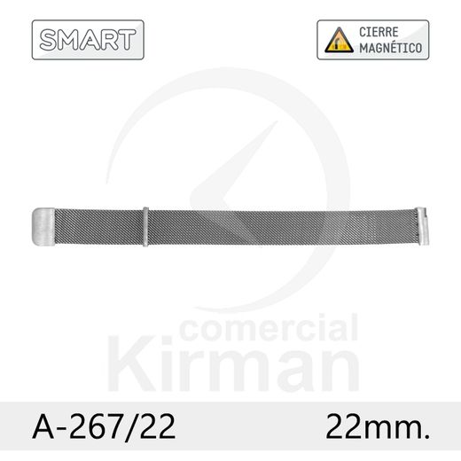 Armis Reloj 22x210mm Acero A-267/22 Smart IPG Terminal Recto