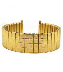 Armis Reloj Diloy Acero Dorado 18/20mm CM9038X.FB.CAB