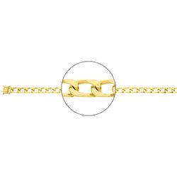 Cadena Oro 18kts Argyor MRM (18)504.6-40 Gourmette En Brillo