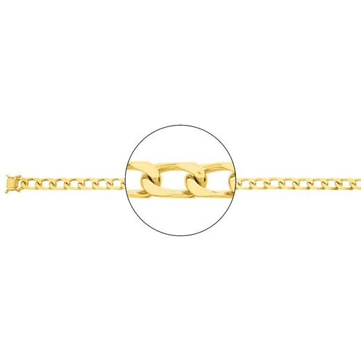 Cadena Oro 18kts Argyor MRM (18)504.6-50 Gourmette En Brillo