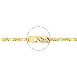 Cadena Oro 18kts Argyor MRM (18)528.7ID C. Placa En Brillo