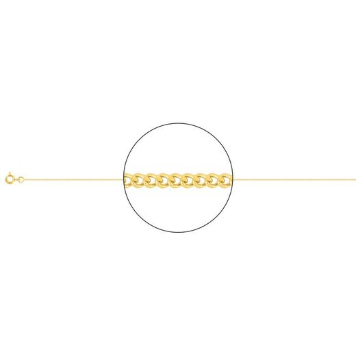 Cadena Oro 18kts Argyor MRM (18)G23-45 Gourmette Diamantada En Brillo