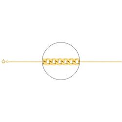 Cadena Oro 18kts Argyor MRM (18)G43-55 Gourmette Diamantada En Brillo