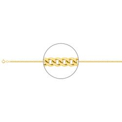 Cadena Oro 18kts Argyor MRM (18)G75-55 Gourmette Diamantada En Brillo