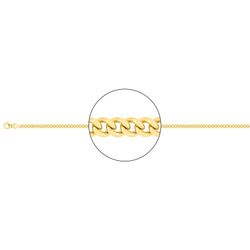 Cadena Oro 18kts Argyor MRM (18)G90-40 Gourmette Diamantada En Brillo