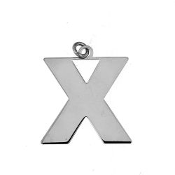 Colgante Acero Mujer CHA0021RHX Letra X 20mm