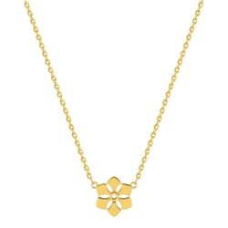 Colgante Metal Chapado Oro Argyor MRM (CH)132782 Estrella Hexagonal