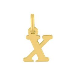Colgante Oro 18kts (18)2920X Letra X