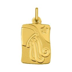 Colgante Oro 18kts Argyor MRM (18)AY5001 Zodiaco Acuario