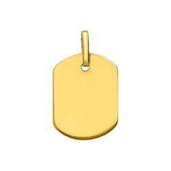 Colgante Oro 18kts Argyor MRM (18)T6 Placa En Brillo