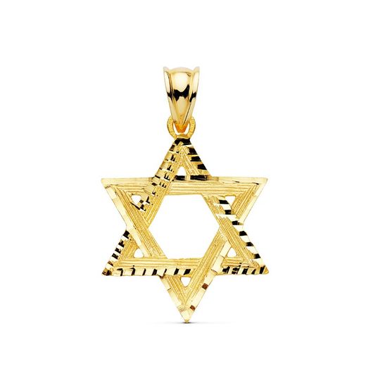 18kt gouden hanger Davidster 20000403