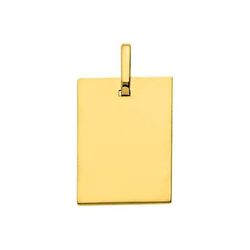 Colgante Oro 9kts Argyor MRM (9)9KR3 Placa En Brillo