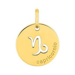 Colgante Oro 9kts Argyor MRM (9)E9K73241 Zodiaco Capricornio Calado