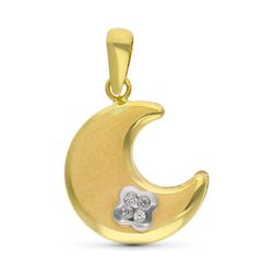 Colgante Oro 9kts Bicolor Plata 9K16655 Circonita