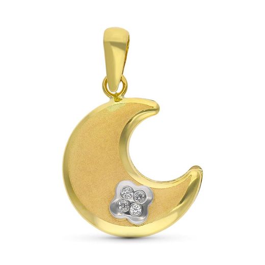 9kt Gold Pendant Bicolor Silver 9K16655 Zirconia