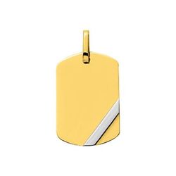 Colgante Oro Bicolor Blanco 18kts Argyor MRM (18)T2.3G Placa En Brillo