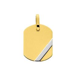 Colgante Oro Bicolor Blanco 18kts Argyor MRM (18)T3.3G Placa En Brillo