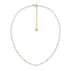 Collar Acero Dorado Argyor-MRM  (AC)432318 Cadena Con Piedras Bicolor Blancas