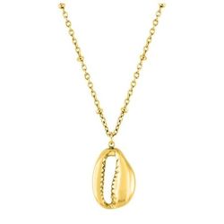 Collar Acero Dorado Argyor-MRM  (AC)432319 Cadena Con Colgante Concha