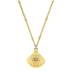 Collar Acero Dorado Argyor-MRM  (AC)432320 Cadena Con Colgante Concha