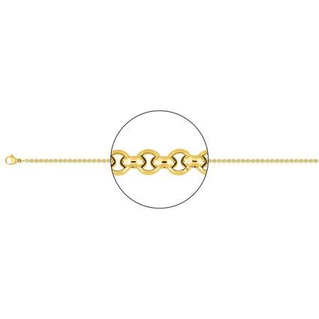 Colar de Aço Dourado Goumette Argyor-MRM (AC)431056C Goumette Links