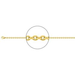 Collar Acero Dorado Goumette Argyor-MRM  (AC)431061C Goumette Eslabones